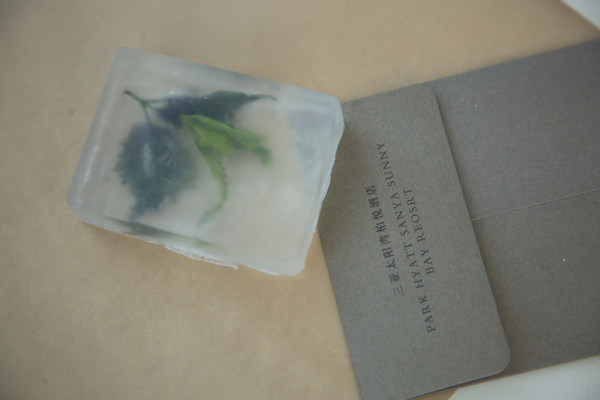 三亚太阳湾柏悦酒店带领宾客以有机植物制作手工精油皂，鼓励宾客传递低碳环保生活理念