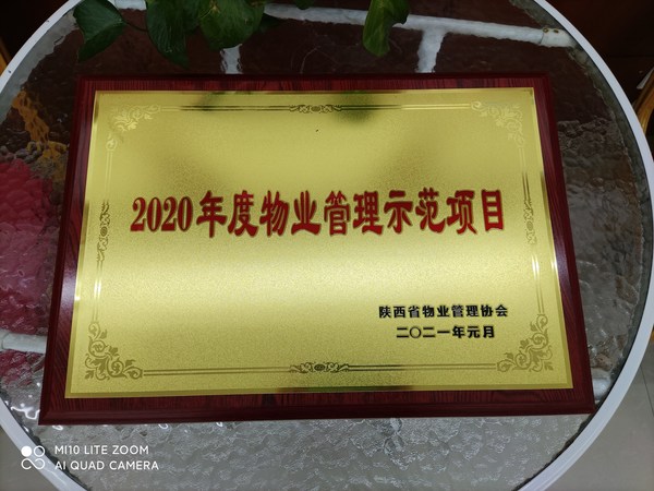 新兴物业浅水湾项目荣获陕西省2020年度物业管理示范项目荣誉称号