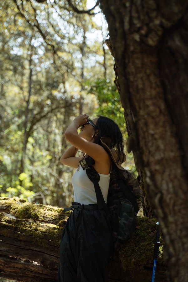 绿野仙踪徒步路线 博主：Yoga一呆梨