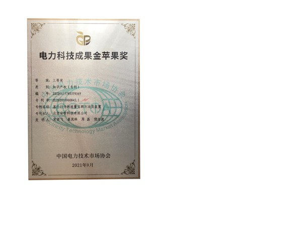 “电力科技成果金苹果奖”证书