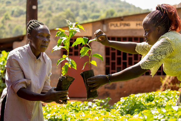 世界各地的Fairtrade农民和工人都认为，气候变化直接威胁到他们的生计和全球人们都喜爱的咖啡、可可和香蕉等产品。在致世界领导人的一封公开信中，180万Fairtrade农民和工人呼吁采取行动，其中包括图片中的肯尼亚农民。信中邀请世界各地的消费者在COP26开始之前签署请愿书以提高农民的呼声。Credit Fairtrade Netherlands和Fairtrade