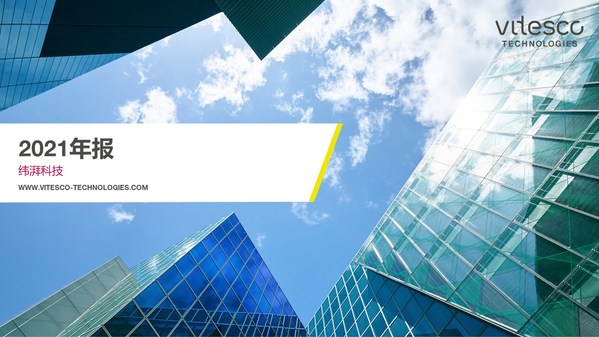 纬湃科技2021年财报图一