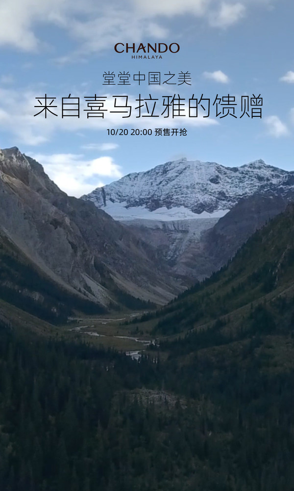 堂堂中国之美 自然堂双十一预售海报