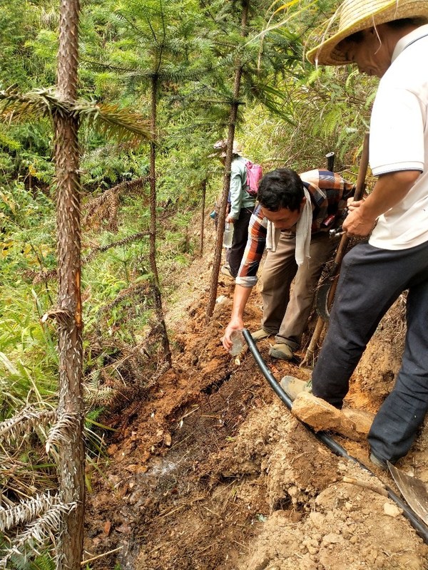为了保证居民可以获得干净的水，村民在半山腰上开挖管沟和铺设管道来减少水在运输过程中被污染。