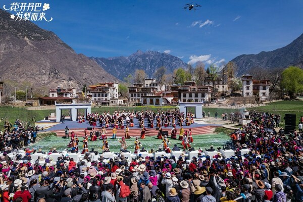 梨花下的成人礼