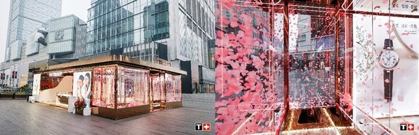 玫瑰花海展现“小美人”的发光魅力