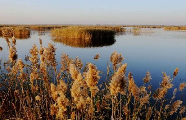 黄河三角洲国家级自然保护区风光