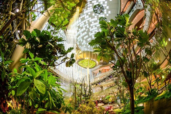 “重庆光环”设有纵跨七层高达42米的室内绿色植物景观，以及动静交互主题的社交空间。